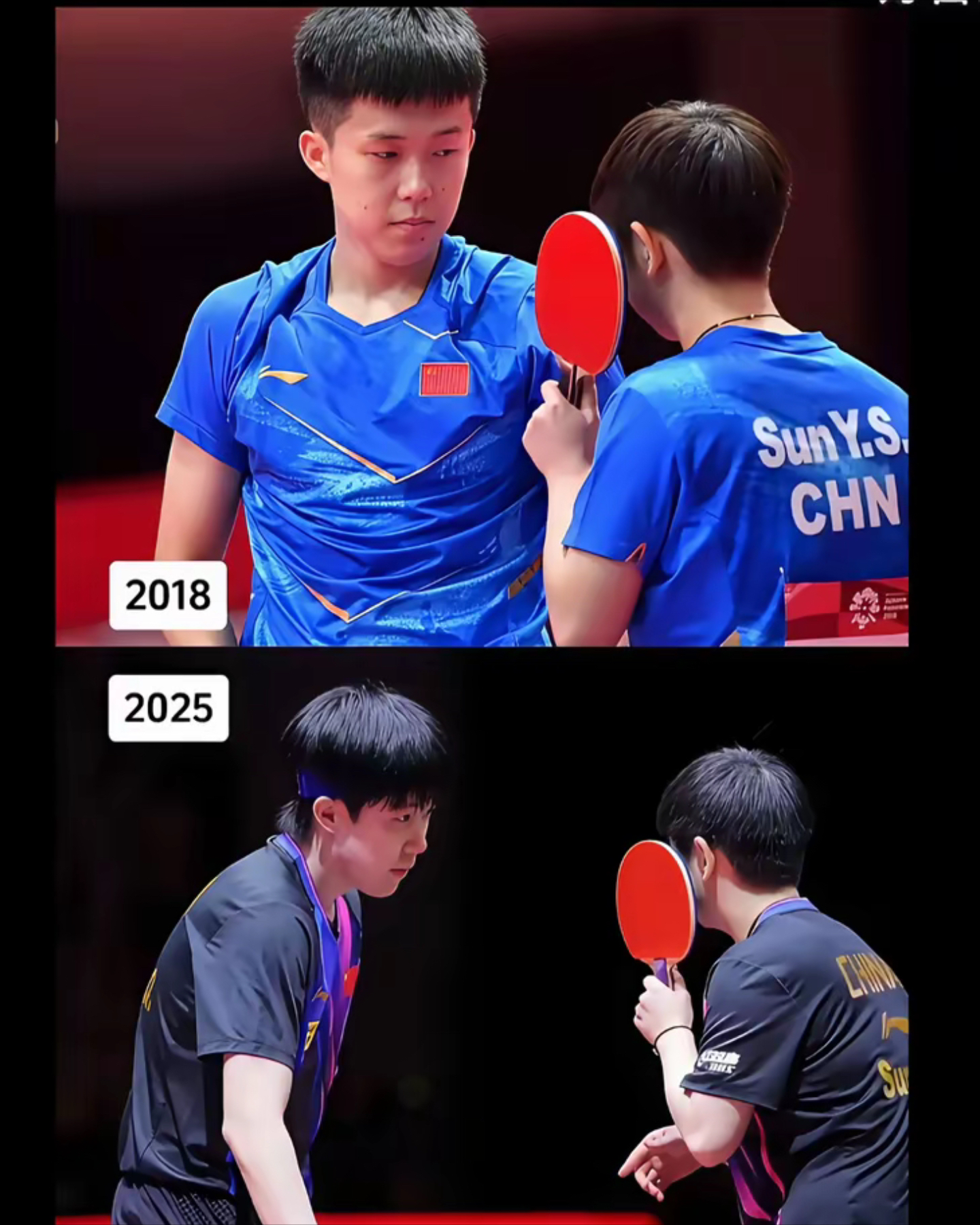 波兰队完胜韩国队，许昕高光表现的简单介绍